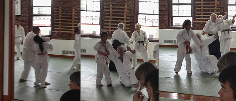 beatrice doing aikido to dad at seminar image